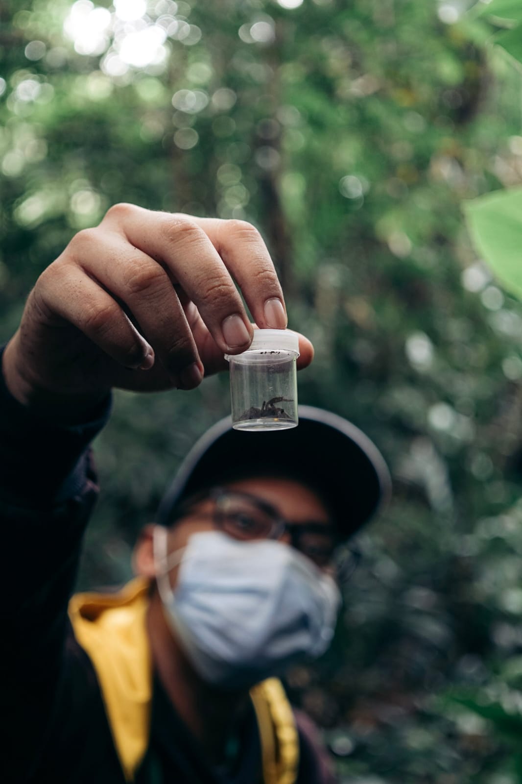 Arthropod Sampling