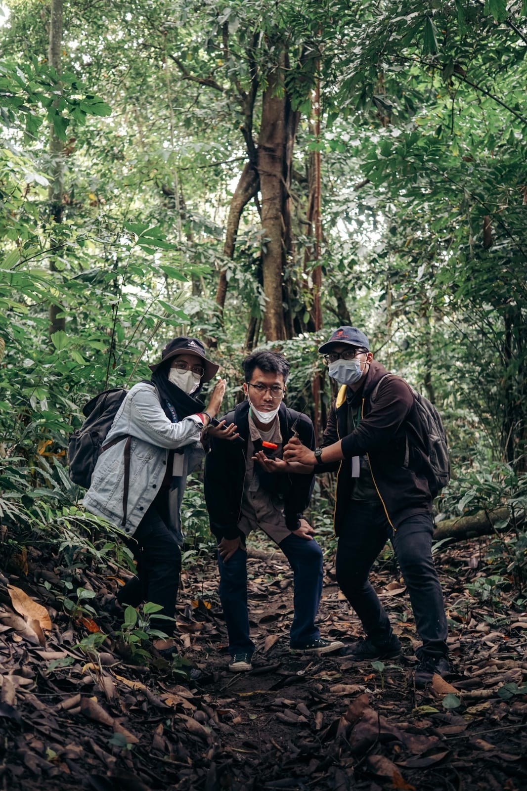 Tree scientist, botanist, and entomologist in the field