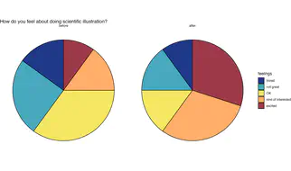 chart2a.jpeg