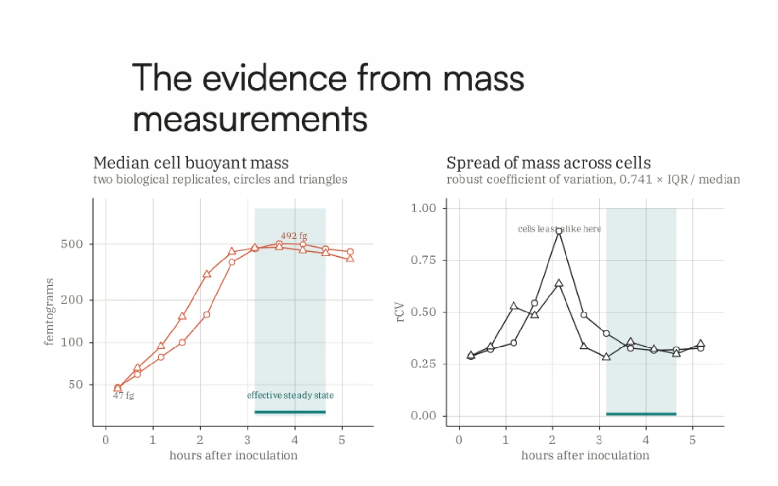 Paired charts compare median single cell mass with variation across cells and mark the effective steady state window